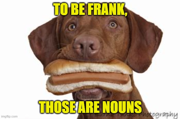 Dog eating hot dog | TO BE FRANK, THOSE ARE NOUNS | image tagged in dog eating hot dog | made w/ Imgflip meme maker