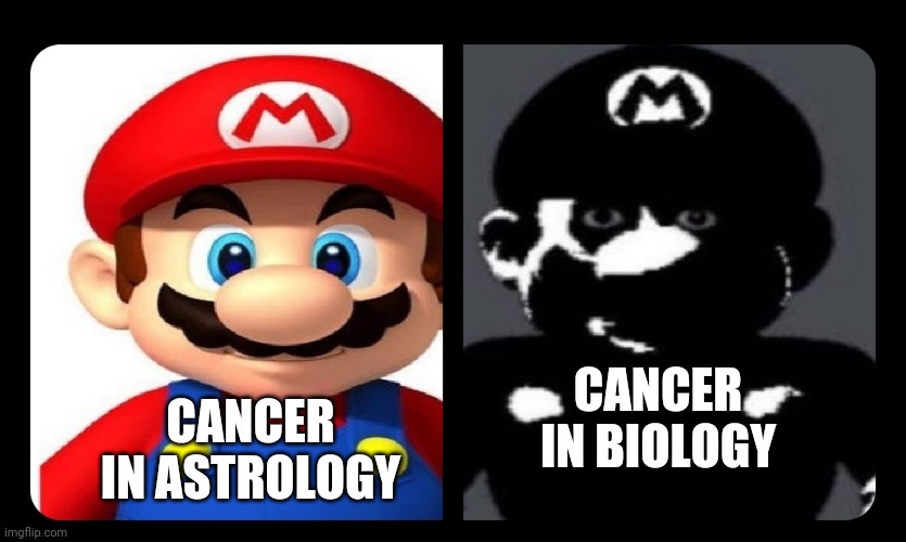 Mario V.S. Dark Mario | CANCER IN BIOLOGY; CANCER IN ASTROLOGY | image tagged in mario v s dark mario | made w/ Imgflip meme maker