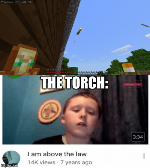 Hold up, wait a minute. Something ain’t right. | THE TORCH: | image tagged in i am above the law,minecraft,wait thats illegal,gaming,why are you reading this | made w/ Imgflip meme maker