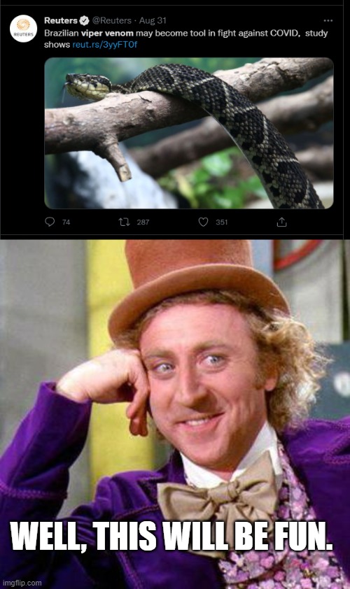 WELL, THIS WILL BE FUN. | image tagged in willy wonka blank | made w/ Imgflip meme maker