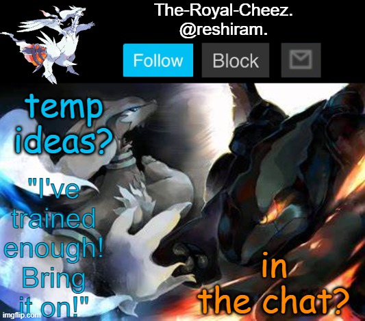 reshiram temp | in the chat? temp ideas? | image tagged in reshiram temp | made w/ Imgflip meme maker