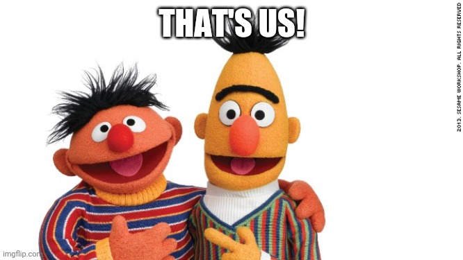 Ernie & Bert! | THAT'S US! | image tagged in bert and ernie | made w/ Imgflip meme maker