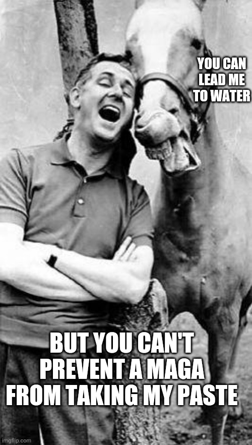 Mr. Ed | YOU CAN LEAD ME TO WATER; BUT YOU CAN'T PREVENT A MAGA FROM TAKING MY PASTE | image tagged in mr ed | made w/ Imgflip meme maker