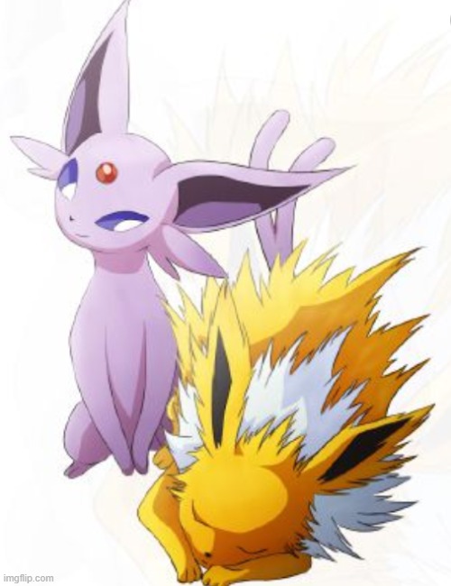 y tho | image tagged in jolteon x espeon | made w/ Imgflip meme maker