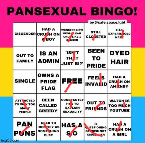 Pansexual Bingo | image tagged in pansexual bingo | made w/ Imgflip meme maker