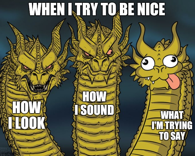 Three-headed Dragon |  WHEN I TRY TO BE NICE; HOW I SOUND; HOW I LOOK; WHAT I'M TRYING TO SAY | image tagged in three-headed dragon | made w/ Imgflip meme maker