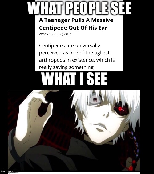 What confuses me is how the centipede got I there | WHAT PEOPLE SEE; WHAT I SEE | image tagged in tokyo ghoul | made w/ Imgflip meme maker