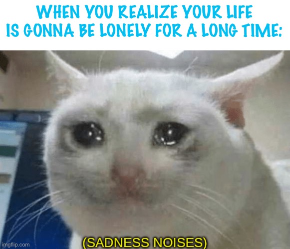 oof | WHEN YOU REALIZE YOUR LIFE IS GONNA BE LONELY FOR A LONG TIME: | image tagged in sadness noises | made w/ Imgflip meme maker