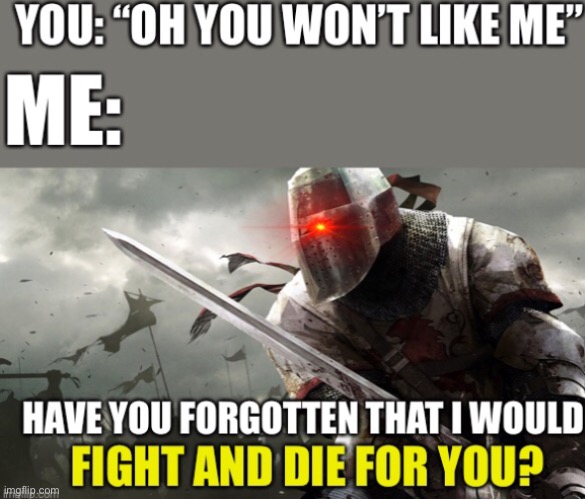 Have you forgotten b r o t h e r? | image tagged in crusader,wholesome | made w/ Imgflip meme maker