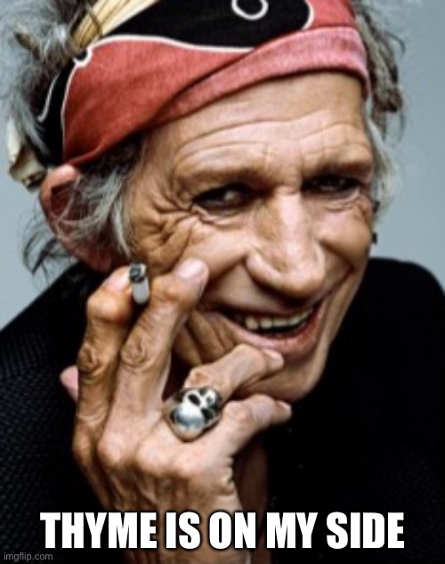 Keith Richards | THYME IS ON MY SIDE | image tagged in keith richards | made w/ Imgflip meme maker