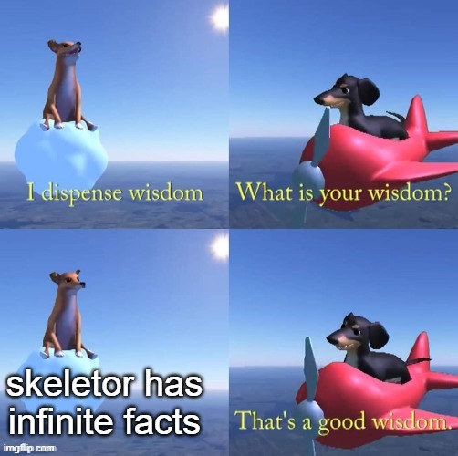 Wisdom dog | skeletor has infinite facts | image tagged in wisdom dog | made w/ Imgflip meme maker