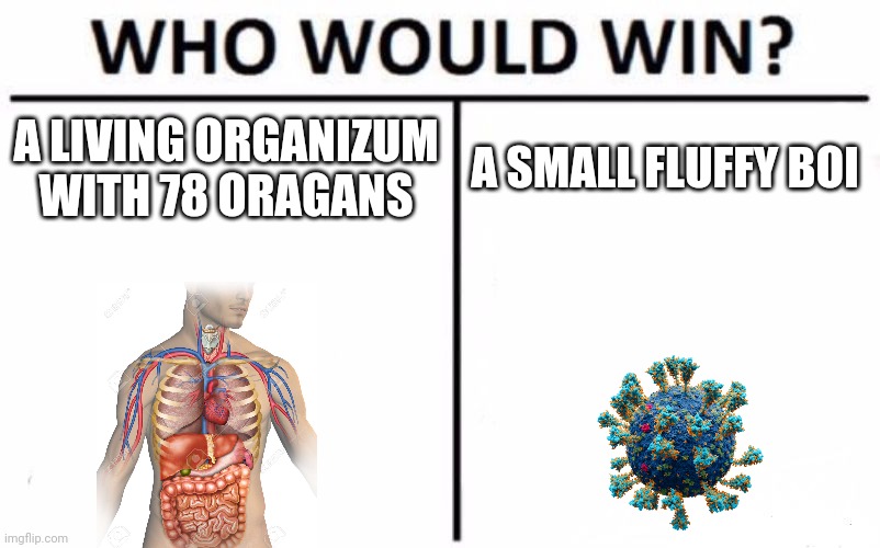 I don't know if its actually fluffy ._. | A LIVING ORGANIZUM WITH 78 ORAGANS; A SMALL FLUFFY BOI | image tagged in memes,who would win,coronavirus,oh no,why are you reading this | made w/ Imgflip meme maker