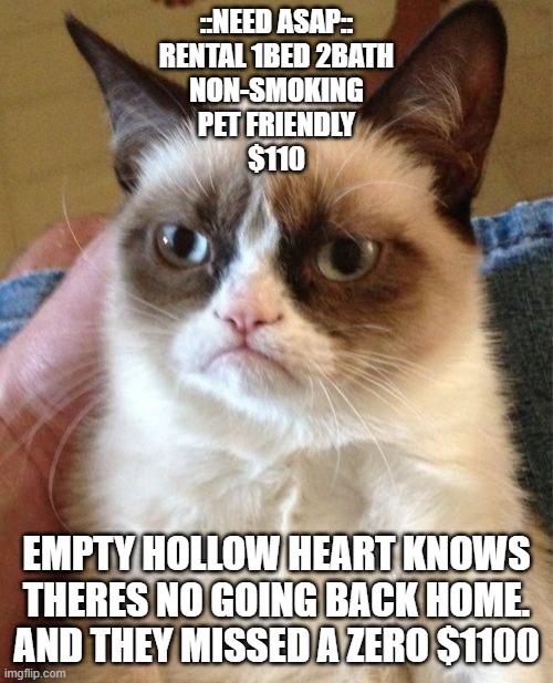 Grumpy Cat | ::NEED ASAP::
RENTAL 1BED 2BATH
NON-SMOKING
PET FRIENDLY
$110; EMPTY HOLLOW HEART KNOWS THERES NO GOING BACK HOME.
AND THEY MISSED A ZERO $1100 | image tagged in memes,grumpy cat | made w/ Imgflip meme maker