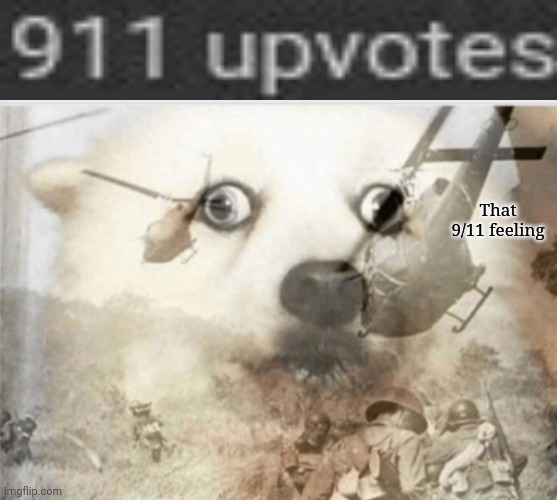 911 |  That 9/11 feeling | image tagged in ptsd dog,9/11,911,memes,meme,numbers | made w/ Imgflip meme maker