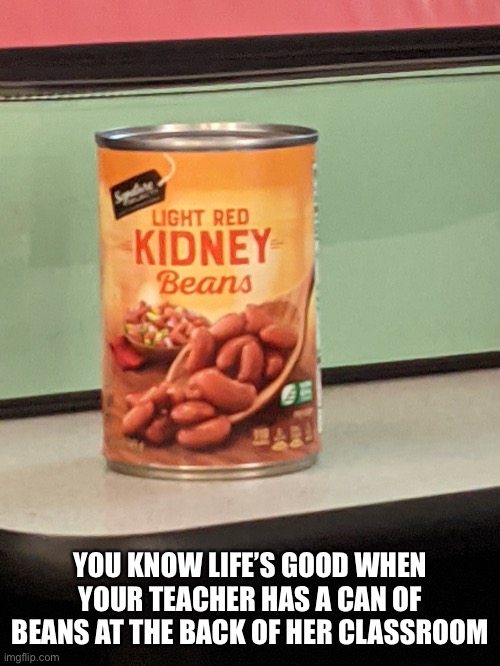 The light red kidney beans | YOU KNOW LIFE’S GOOD WHEN YOUR TEACHER HAS A CAN OF BEANS AT THE BACK OF HER CLASSROOM | image tagged in fun | made w/ Imgflip meme maker