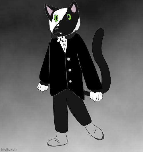 cat of the opera | image tagged in cat,phantom of the opera,furry,art,drawings | made w/ Imgflip meme maker