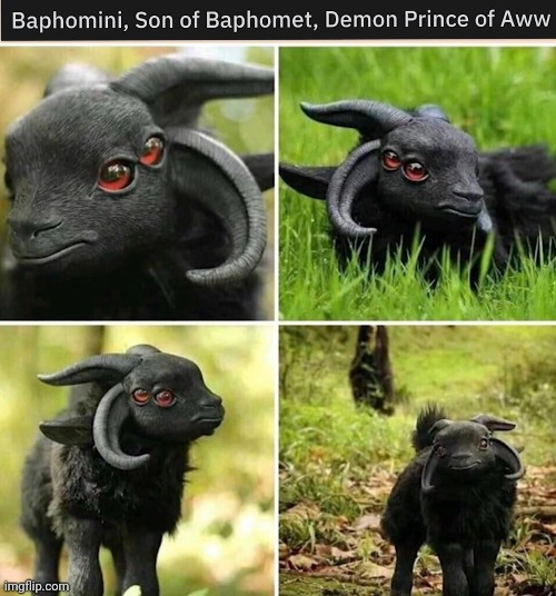 The Cutest Demon | image tagged in cute animals | made w/ Imgflip meme maker