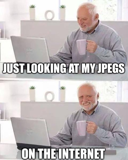 jpegs hodlr |  JUST LOOKING AT MY JPEGS; ON THE INTERNET | image tagged in memes,hide the pain harold,nft,crypto,cheugs | made w/ Imgflip meme maker