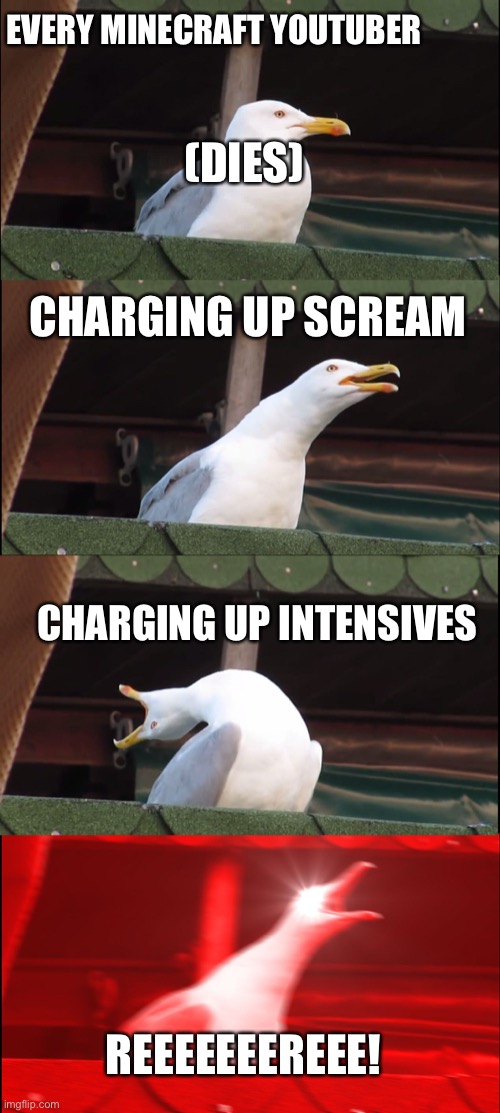 Inhaling Seagull Meme | EVERY MINECRAFT YOUTUBER; (DIES); CHARGING UP SCREAM; CHARGING UP INTENSIVES; REEEEEEEREEE! | image tagged in memes,inhaling seagull | made w/ Imgflip meme maker