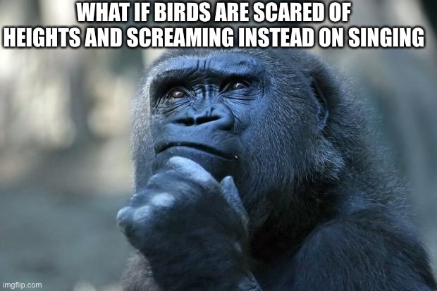 Poor birds | WHAT IF BIRDS ARE SCARED OF HEIGHTS AND SCREAMING INSTEAD ON SINGING | image tagged in deep thoughts | made w/ Imgflip meme maker