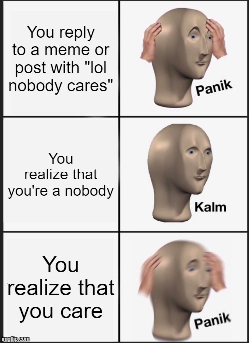 Usually it's the people who say "lol no one cares" that obviously care the most, since they took time out of their day to reply  | You reply to a meme or post with "lol nobody cares"; You realize that you're a nobody; You realize that you care | image tagged in memes,panik kalm panik | made w/ Imgflip meme maker