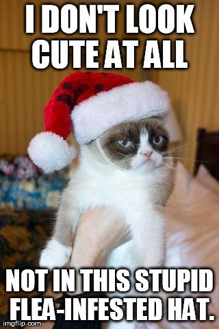 Grumpy Cat Christmas | image tagged in memes,grumpy cat | made w/ Imgflip meme maker