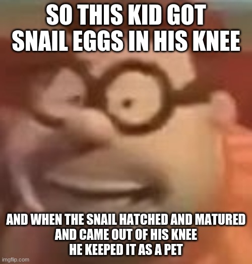 imagine being adopted by your home lmao | SO THIS KID GOT SNAIL EGGS IN HIS KNEE; AND WHEN THE SNAIL HATCHED AND MATURED
AND CAME OUT OF HIS KNEE
HE KEEPED IT AS A PET | image tagged in carl wheezer sussy | made w/ Imgflip meme maker