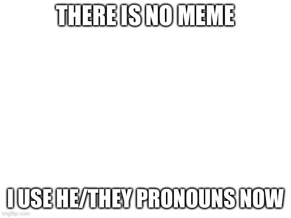 Blank White Template | THERE IS NO MEME; I USE HE/THEY PRONOUNS NOW | image tagged in blank white template | made w/ Imgflip meme maker