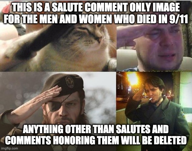 Sad Salute | THIS IS A SALUTE COMMENT ONLY IMAGE FOR THE MEN AND WOMEN WHO DIED IN 9/11; ANYTHING OTHER THAN SALUTES AND COMMENTS HONORING THEM WILL BE DELETED | image tagged in sad salute | made w/ Imgflip meme maker