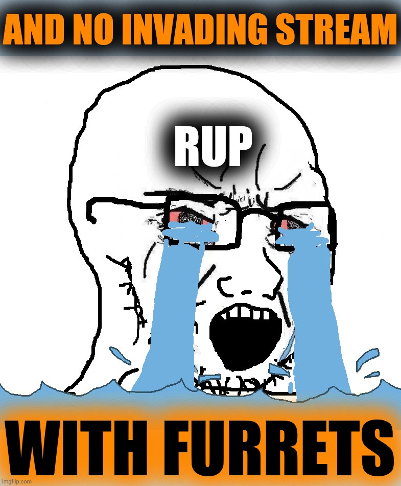 Wojack Crying Nooo! | AND NO INVADING STREAM WITH FURRETS RUP | image tagged in wojack crying nooo | made w/ Imgflip meme maker