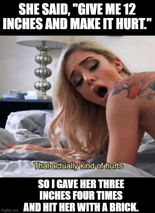 Make It Hurt | SHE SAID, "GIVE ME 12 INCHES AND MAKE IT HURT."; SO I GAVE HER THREE INCHES FOUR TIMES AND HIT HER WITH A BRICK. | image tagged in that actually kind of hurts | made w/ Imgflip meme maker