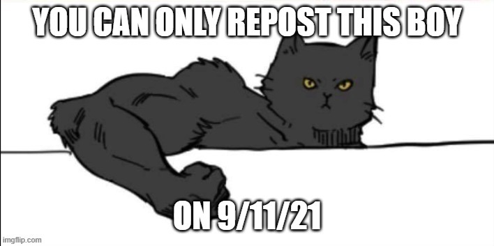Reposted | image tagged in cats,repost | made w/ Imgflip meme maker