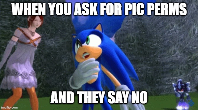 dawg | WHEN YOU ASK FOR PIC PERMS; AND THEY SAY NO | image tagged in yo dawg | made w/ Imgflip meme maker