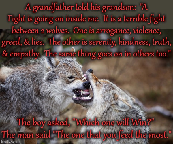 A Cherokee fable. | A grandfather told his grandson:  "A Fight is going on inside me.  It is a terrible fight between 2 wolves.  One is arrogance, violence, greed, & lies.  The other is serenity, kindness, truth,
& empathy.  The same thing goes on in others too."; The boy asked, "Which one will Win?"  The man said "The one that you feed the most." | image tagged in two wolves,wisdom,native american,choices | made w/ Imgflip meme maker
