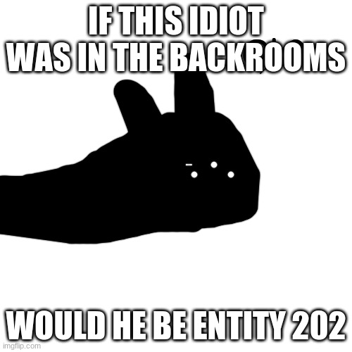 Ok? | IF THIS IDIOT WAS IN THE BACKROOMS; WOULD HE BE ENTITY 202 | image tagged in ok | made w/ Imgflip meme maker