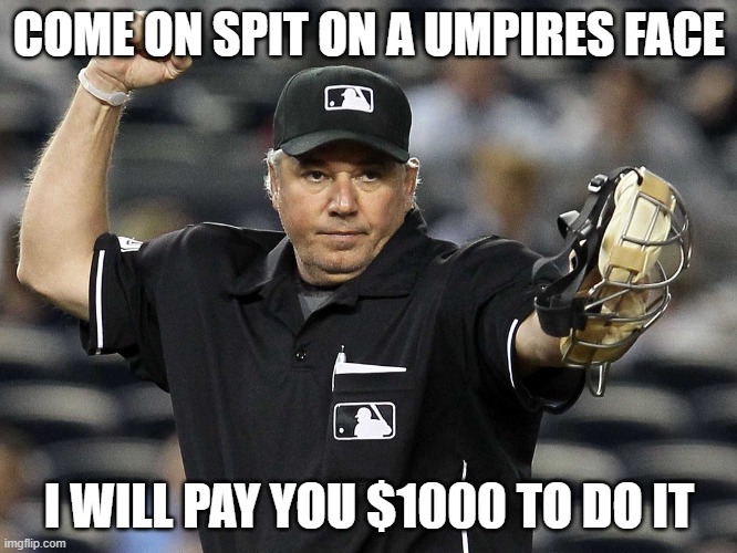 Umpire Out | COME ON SPIT ON A UMPIRES FACE; I WILL PAY YOU $1000 TO DO IT | image tagged in umpire out | made w/ Imgflip meme maker