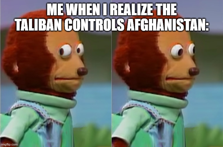 There gunna renew 9/11, and next year will be the first anniversary | ME WHEN I REALIZE THE TALIBAN CONTROLS AFGHANISTAN: | image tagged in puppet monkey looking away | made w/ Imgflip meme maker