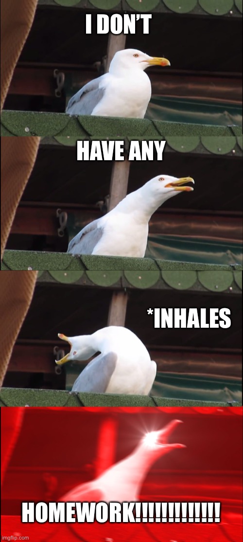 When mom says do your homework | I DON’T; HAVE ANY; *INHALES; HOMEWORK!!!!!!!!!!!!! | image tagged in memes,inhaling seagull | made w/ Imgflip meme maker