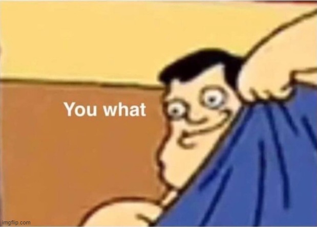 You What Stan Smith | image tagged in you what stan smith | made w/ Imgflip meme maker