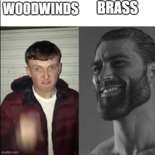 band joke... | BRASS; WOODWINDS | image tagged in giga chad template | made w/ Imgflip meme maker