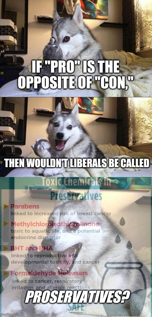 I just 5hought of it even if it didn't make sense. | IF "PRO" IS THE OPPOSITE OF "CON,"; THEN WOULDN'T LIBERALS BE CALLED; PROSERVATIVES? | image tagged in memes,bad pun dog,liberals,conservatives,funny,joke | made w/ Imgflip meme maker