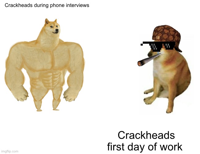 Buff Doge vs. Cheems | Crackheads during phone interviews; Crackheads first day of work | image tagged in memes,buff doge vs cheems | made w/ Imgflip meme maker