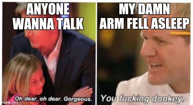 Oh dear, dear gorgeus | ANYONE WANNA TALK; MY DAMN ARM FELL ASLEEP | image tagged in oh dear dear gorgeus | made w/ Imgflip meme maker