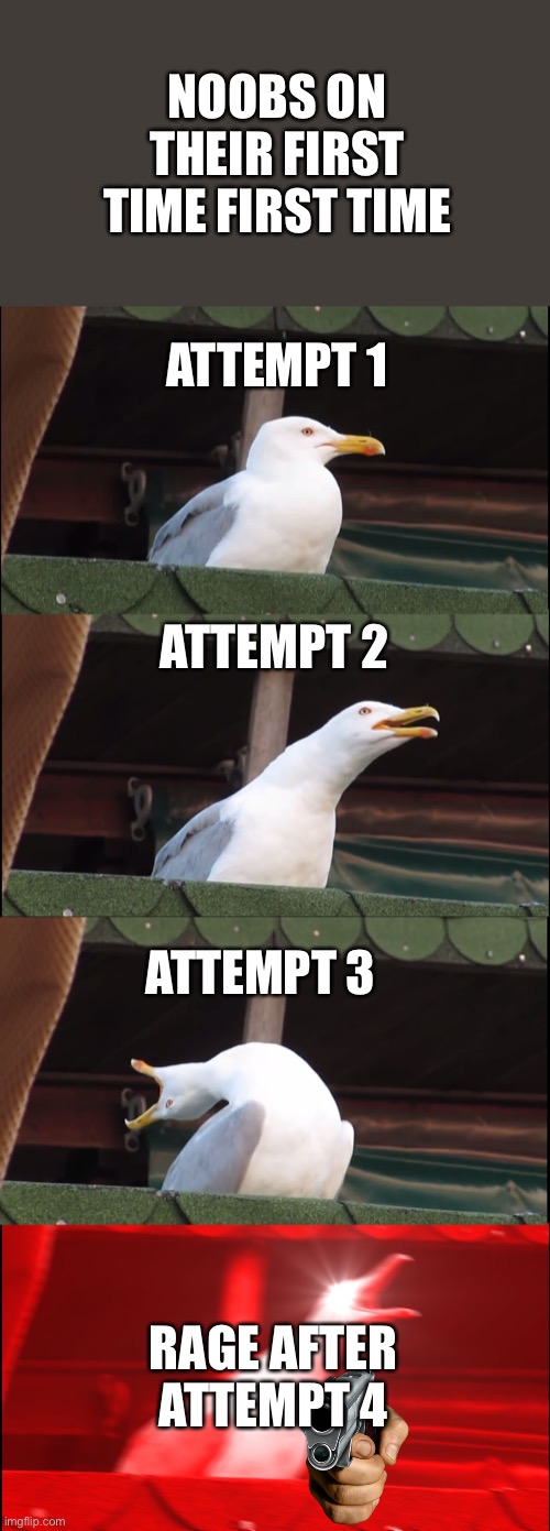 Inhaling Seagull | NOOBS ON THEIR FIRST TIME FIRST TIME; ATTEMPT 1; ATTEMPT 2; ATTEMPT 3; RAGE AFTER ATTEMPT 4 | image tagged in memes,inhaling seagull | made w/ Imgflip meme maker