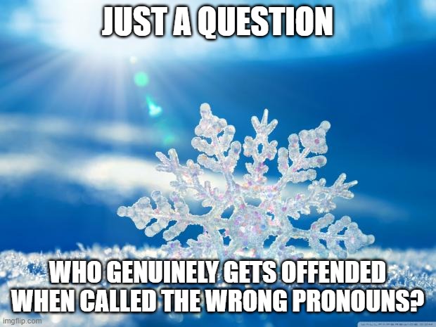 snowflake | JUST A QUESTION; WHO GENUINELY GETS OFFENDED WHEN CALLED THE WRONG PRONOUNS? | image tagged in snowflake | made w/ Imgflip meme maker