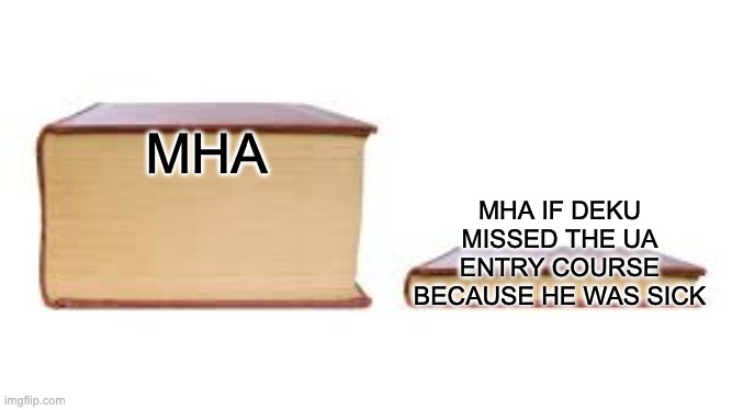 mha | MHA; MHA IF DEKU MISSED THE UA ENTRY COURSE BECAUSE HE WAS SICK | image tagged in big book small book | made w/ Imgflip meme maker