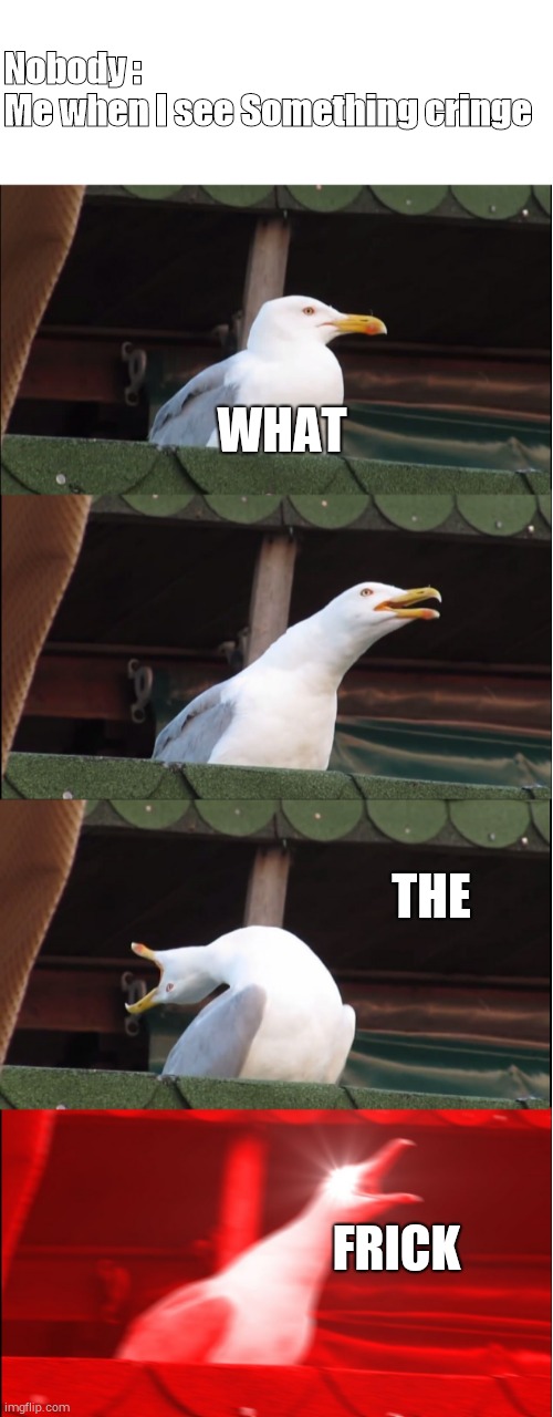 Inhaling Seagull Meme | Nobody :
Me when I see Something cringe; WHAT; THE; FRICK | image tagged in memes,inhaling seagull | made w/ Imgflip meme maker