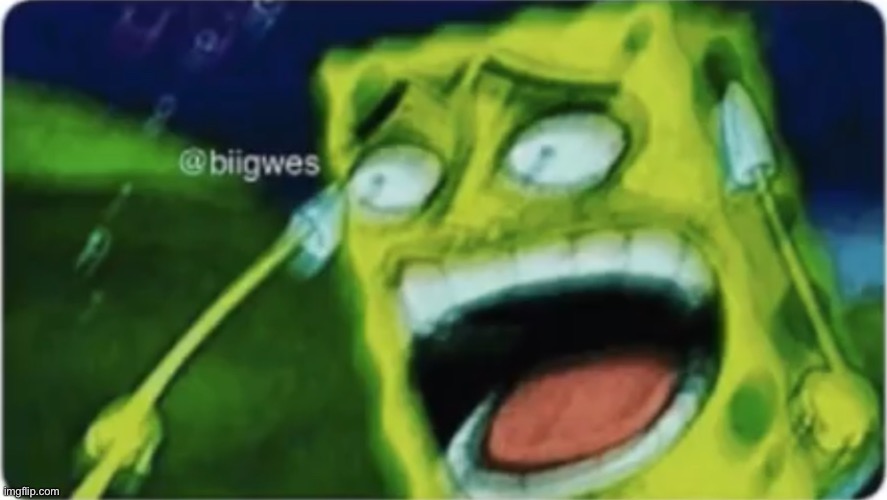 LOL spongebob | image tagged in lol spongebob | made w/ Imgflip meme maker