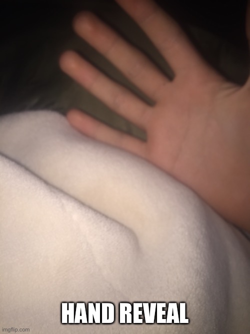 Check my  last image for context | HAND REVEAL | made w/ Imgflip meme maker