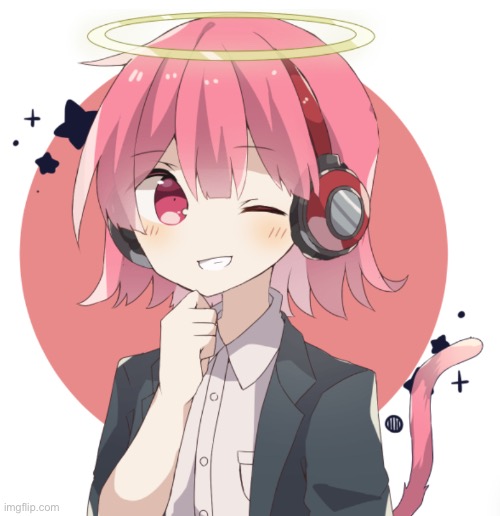 Most cutest cat | image tagged in most cutest cat | made w/ Imgflip meme maker